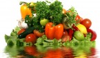Agricultura