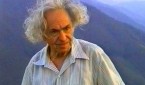 Harry Maiorovici