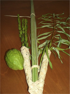 sukkot03 sukkot03 225x300 sukkot03