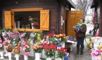 Florarese 003