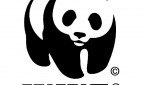 WWF