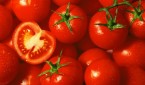 Tomato wallpaper (2)