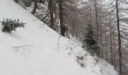 Iarna
