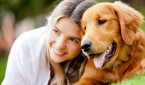 Pets